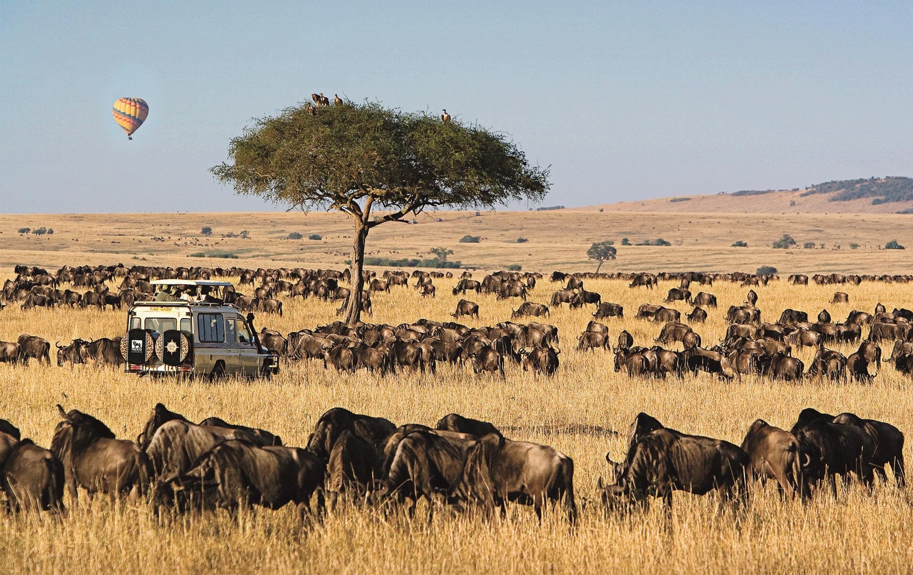 2023 Top Safari Destinations in East Africa