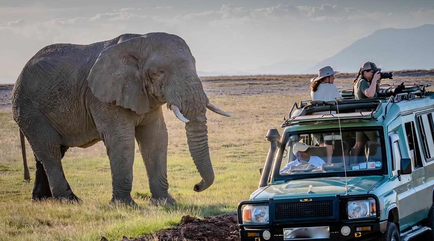 Crater Drive Safaris in Queen Elizabeth National Park Uganda Safaris
